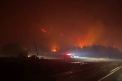 Bursa Karacabey'de orman yangını! Rüzgarın etkisiyle büyüyor