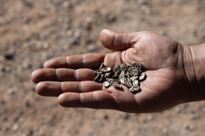 İzmir'de eller toprakla buluştu