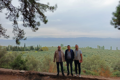 Marmarabirlik’ten 'anıt zeytin ağaçları'na özel marka vizyonu