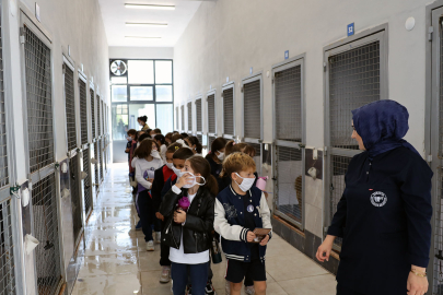 Sakarya'da can dostların yeni dünyasına hayran kaldılar