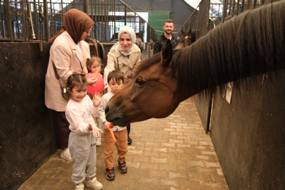 Minikler, Kocaeli'de atlarla buluştu