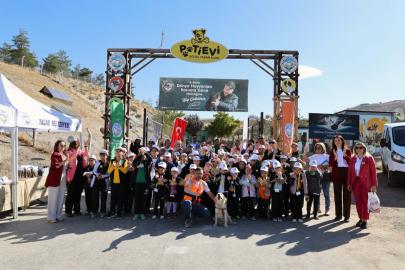 Kayseri Talas'ta hayvanlara özel kutlama