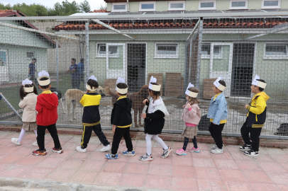 Muğlalı minik yüreklerden can dostlara ziyaret