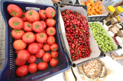 Efes Tarlası Yaşam Köyü’nde Üretici Pazarı 19 Ekim'de kapılarını açıyor