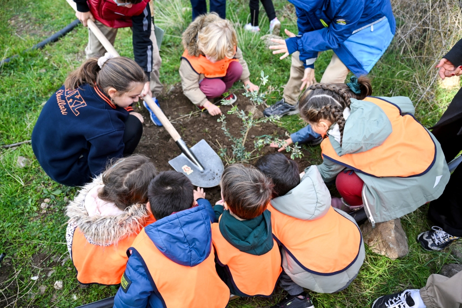İzmir Bornova'da 200 zeytin fidanı toprakla buluştu