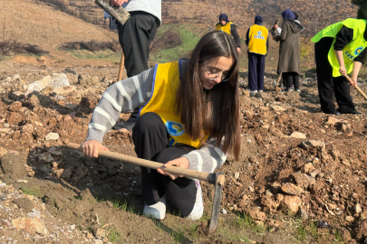 Gürsu'da yanan ormanlar yeniden yeşeriyor... 15 bin fidan toprakla buluştu