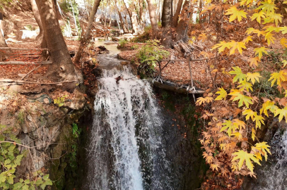 Mardin’in gizli cenneti renk cümbüşüne döndü
