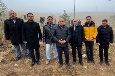 Kayseri Büyükşehir şehri yeşillendirmeye devam ediyor