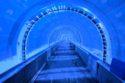 Kocaeli’de su altı dünyası yakında kapılarını açıyor