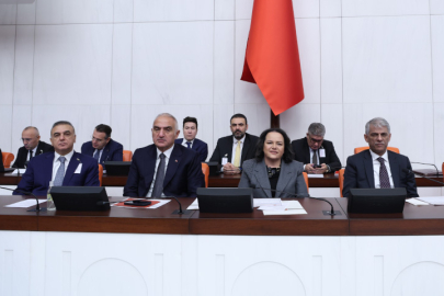 TBMM'de merkezi yönetim bütçesi görüşmeleri sürüyor