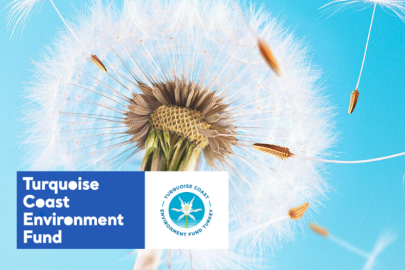 TCEF 2026 Hibe Programı'nda Türkiye'nin güney ve batı kıyılarına destek... Son başvuru 25 Ocak