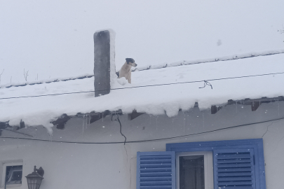 Bilecik Pazaryeri'nde kar altında kurtarma operasyonu