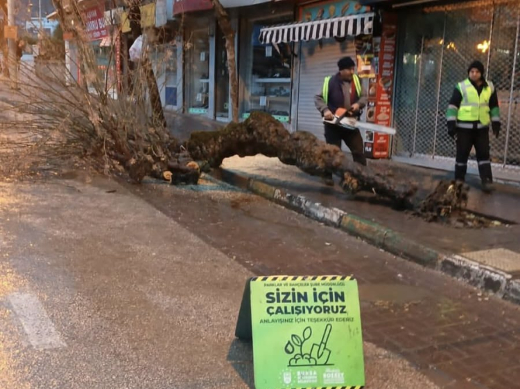 Bursa’da kuvvetli lodos alarmı! 42 ihbara anında müdahale