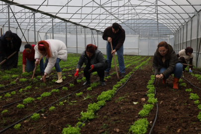 Kadın ve gençler tarıma kazandırılıyor
