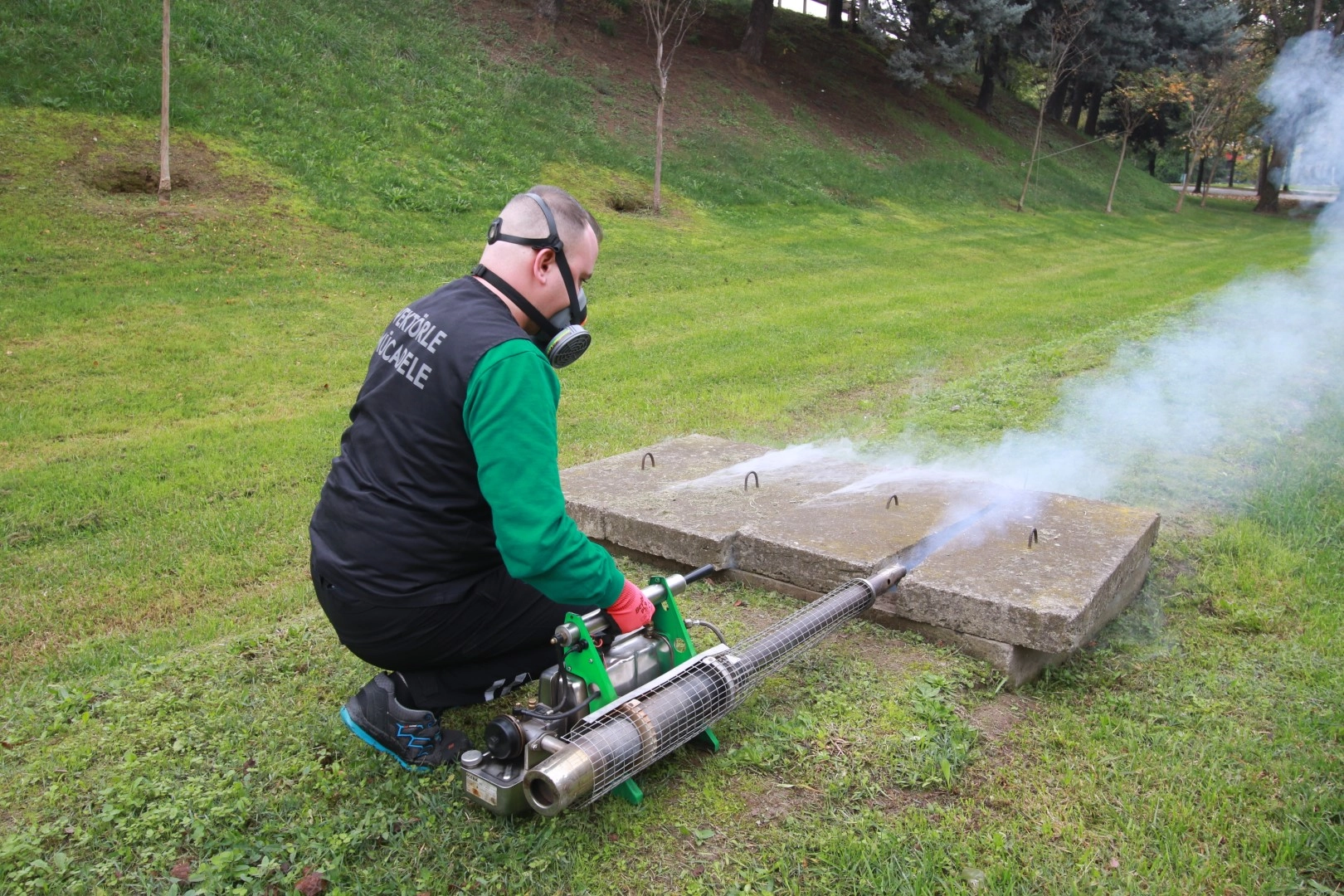 Kocaeli’de sivrisinekle mücadele çalışmaları sonuç verdi Kocaeli’de sivrisinekle mücadele çalışmaları sonuç verdi