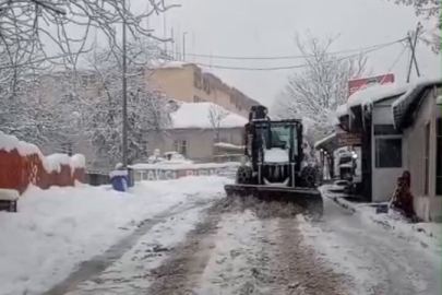 Tunceli, son 65 yılın en yoğun kar yağışıyla mücadele ediyor