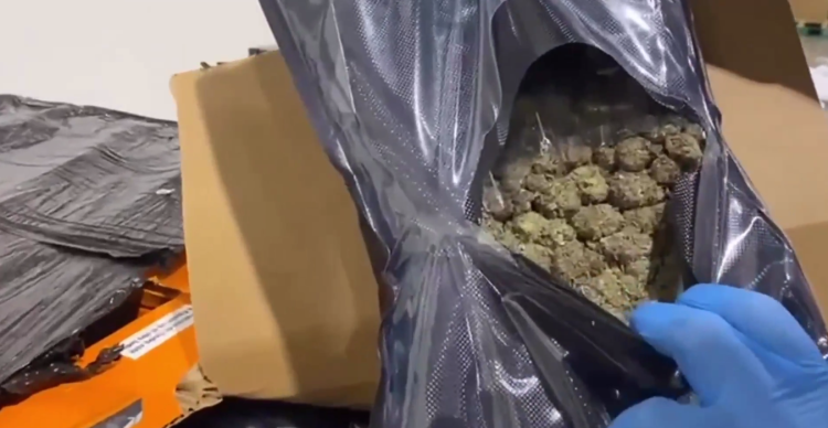 Ticaret’ten zehir sevkiyatına geçit yok!