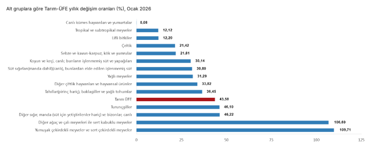 tarım üfe'nin zirvesinde yumuşak ve sert çekirdekli meyveler var 5 Tarım ÜFE'nin zirvesinde yumuşak ve sert çekirdekli meyveler var