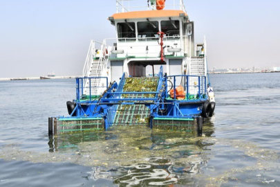 İzmir körfezinde kirlilik alarmı! İzmir Büyükşehir seyirci mi kalıyor?