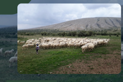 Kırsalda Bereket Projesi hazırlığı