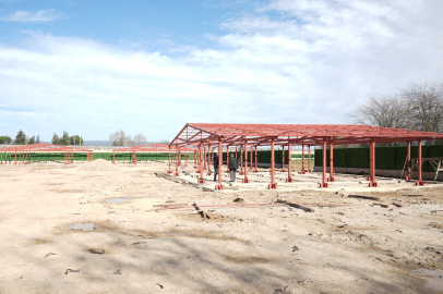 Bursa Yenişehir'de 'Hayvan Bakımevi ve Doğal Yaşam Alanı' gün sayıyor