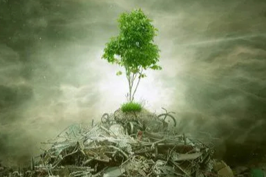 ÇED 'gerekli değil' kararı kaldırıldı! Yönetmelikle süreçler değişti