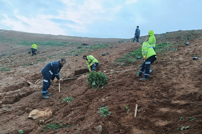 Kocaeli Gebze'de Büyükşehir’le yeşile dokunuş