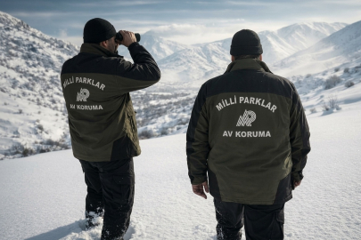 Niğde'de yasa dışı avcılığa suçüstü