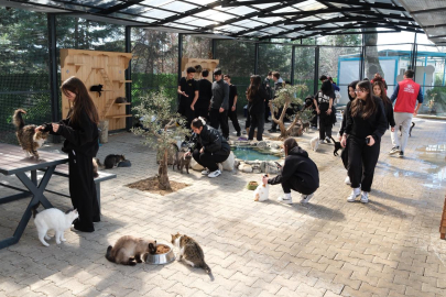 Bursa Yıldırım’da gençlerden patili dostlara sevgi ziyareti