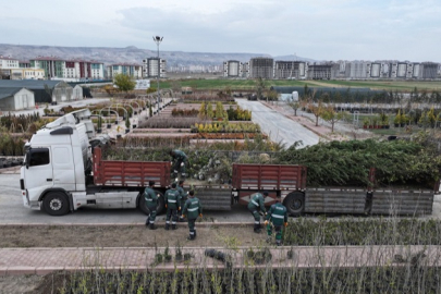 Kayseri Kocasinan'dan ağaç dikme rekoru