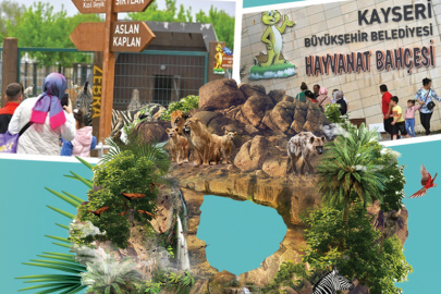 Kayseri'de hayvanat bahçesi ücretsiz