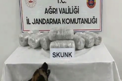 Ağrı’da 10 kilogram skunk ele geçirildi