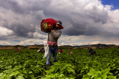 Bursa Yenişehir'de tarımı geliştiren, sanayi ve ticareti büyüten anlayış hakim