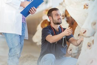 Denizli Büyükşehir’den üreticiye sahada destek