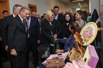 Cumhurbaşkanı ödüllü projeyle Sakarya'da ulaşımda engeller kalktı