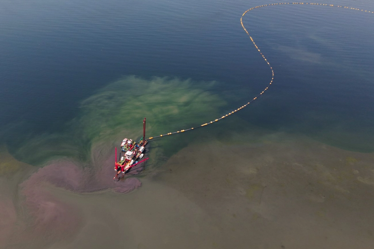 Kocaeli’nin çevre projesi deniz canlılarını canlandırdı