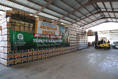 Antalya Büyükşehir’den arıcılara kovan desteği