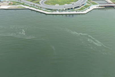 İzmir Körfezi’nde kirlilikte 10'uncu tespit