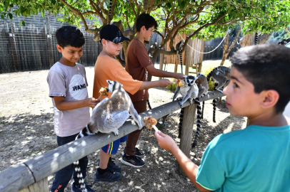 Doğal Yaşam Parkı öğrencilere ücretsiz olacak