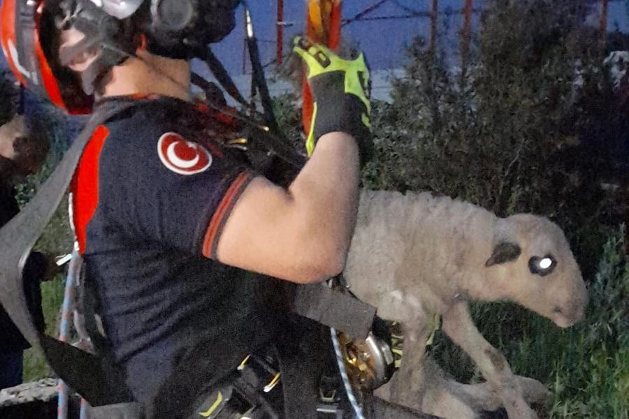 Kuyuya düşen kuzuya İzmir İtfaiyesi'nden nefes kesen kurtarma