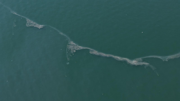 İzmir Körfezi göz göre göre kirletiliyor! 12. kirlilik tespiti!