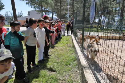 Bursa'da çocuklar patili dostlarla buluştu