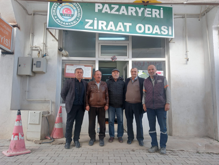 Bilecik Pazaryeri’nde tütün geçim kapısı oluyor