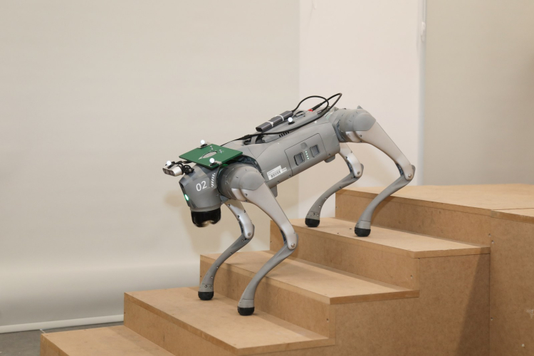 BTÜ’den robot köpeklerle geleceğe adım