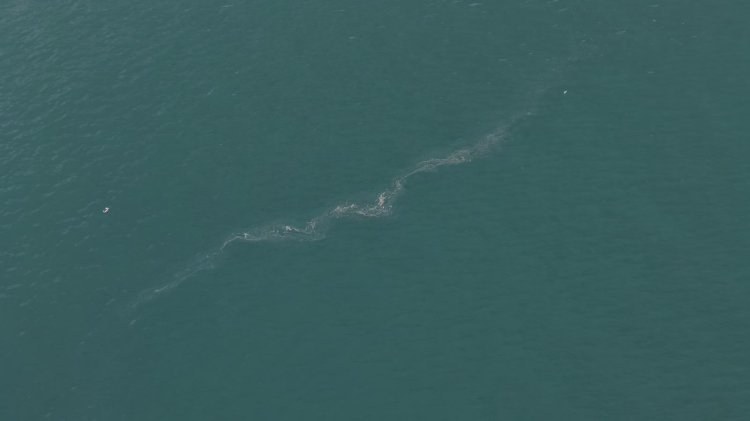 İzmir Körfezi’nde dış kaynaklı kirliliğin önüne geçilemiyor