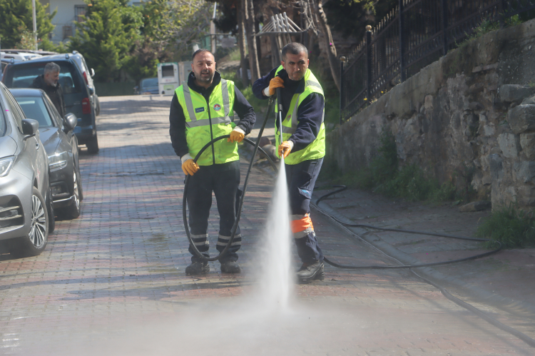 İstanbul Maltepe’de bahar temizliğine Çınar’la devam