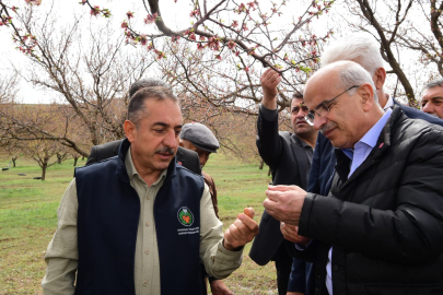 Malatya’da dolu felaketi sonrası yerinde tespit... Yaraları birlikte saracağız