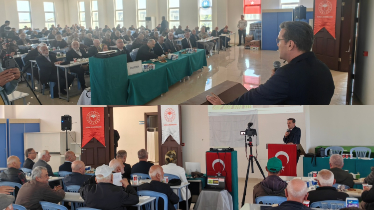 Bursa’da zeytinde yeni dönem… B-Reçete geliyor