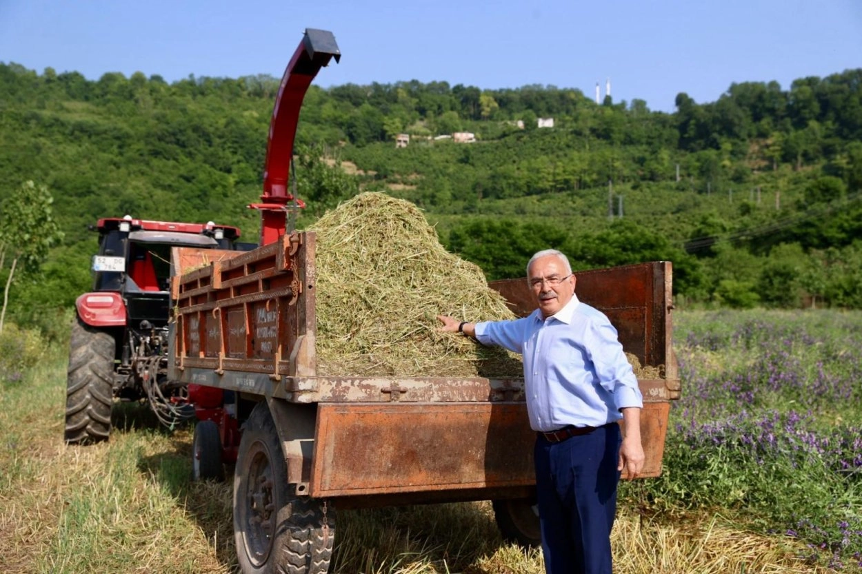 Ordu'da atıl arazi tarıma kazandırıldı