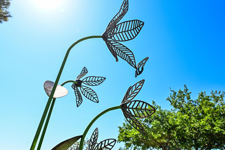 Muratpaşa’da bahar ‘Çiçek Desenleri Günleri’ ile karşılanacak